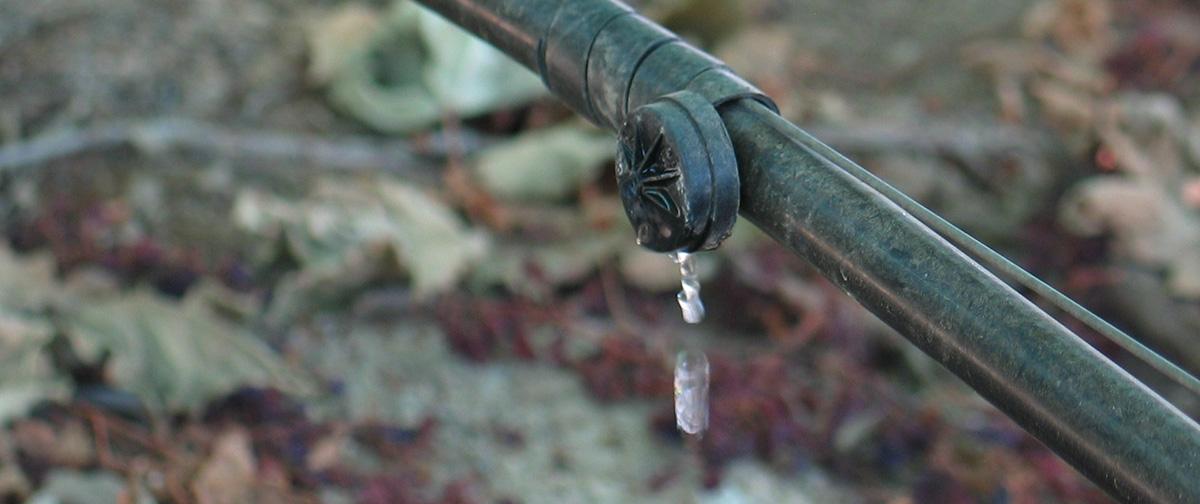 Mg. Gestión del Agua