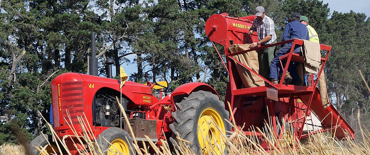 Gestión e Innovación Rural