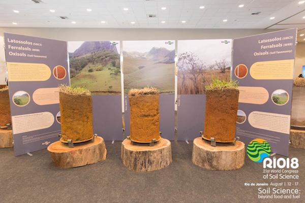 La agricultura regenerativa / sostenible, la relación del suelo con la salud humana y el cambio climático son las temáticas que impregnaron el Congreso