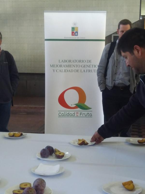 Al finalizar el evento, los asistentes pudieron degustar la ciruela japonesa. LKa fruta fue elogiada por todos los invitados.