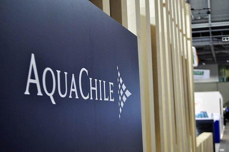 La iniciativa se destaca por su vinculación entre la academia y la industria, por el sector privado participarán las Empresas AquaChile y el Laboratorio ANTARES.