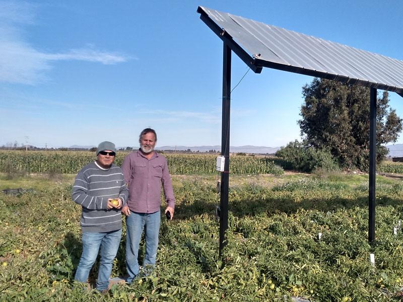 El Agrofotovoltismo propone el desarrollo de sistemas de producción de energía sobre la base de tecnología solar fotovoltaica, en combinación armónica y optimizada con la producción agrícola.