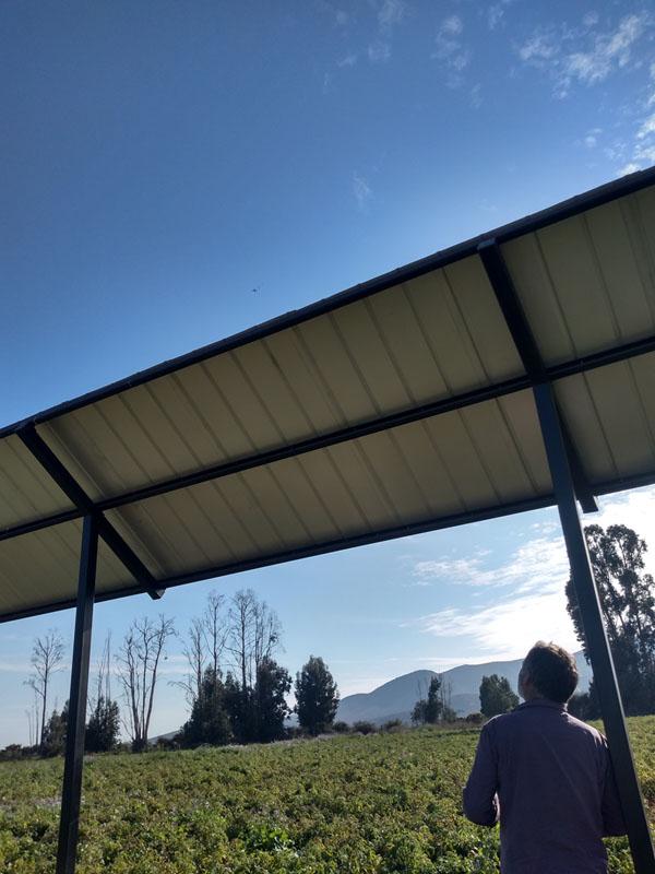 La alta radiación solar presente en la Región de Coquimbo, particularmente en las zonas medias y altas de los valles, se traducen en estreses por excesos de energía.