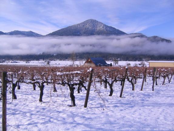 La iniciativa se centra en las consecuencias y posible soluciones al impacto del cambio climático en viñas, uvas y vinos.