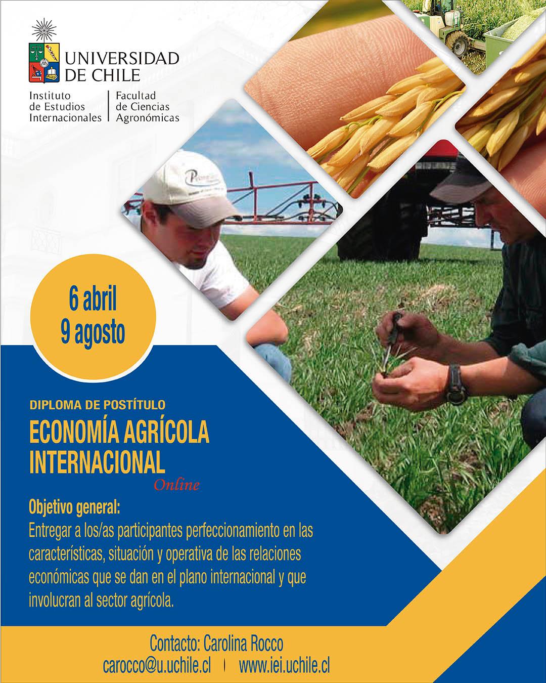 Diploma de Postítulo en Economía Agrícola Internacional