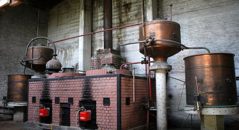 "Bodega Quinta Normal, 181 años de tradición" "Bodega Quinta Normal, 181 años de tradición"