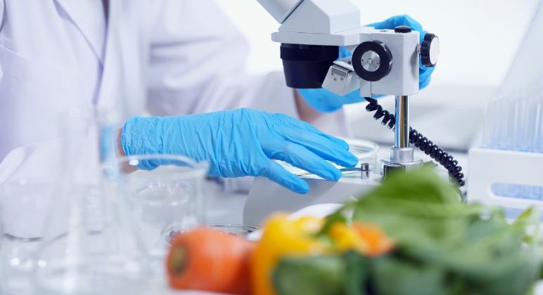 Conoce los programas de diplomados que imparte la Facultad de Ciencias Agronómicas de la Universidad de Chile este 2024