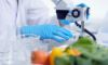 Conoce los programas de diplomados que imparte la Facultad de Ciencias Agronómicas de la Universidad de Chile este 2025