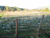 El inadecuado manejo de residuos fue uno de los problemas reconocidos en terreno.