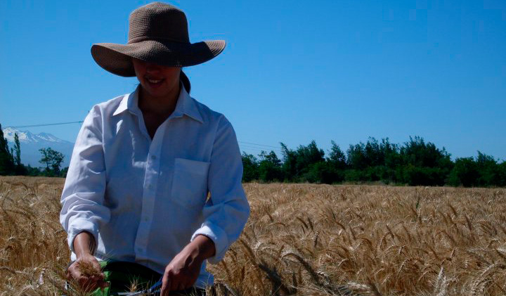 Ingeniería Agronómica Subportada